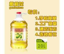 食用油選購與使用指南 健康廚房的黃金選擇