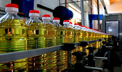 2021年11月食用油機(jī)械設(shè)備行業(yè)熱點(diǎn)聚焦 創(chuàng)新驅(qū)動(dòng)與市場新機(jī)遇