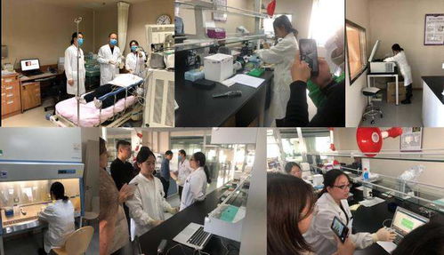 一手緊抓檢測試劑，一手研發智能終端 源生康泰雙管齊下的生物技術攻堅戰